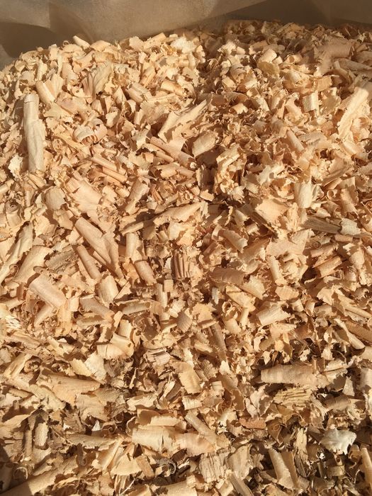 Wióry dębowe suche