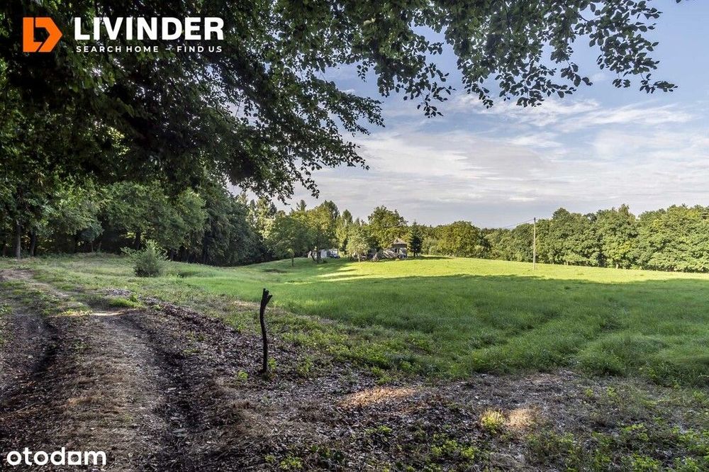 Piękna działka inwestycyjna wsród lasu.