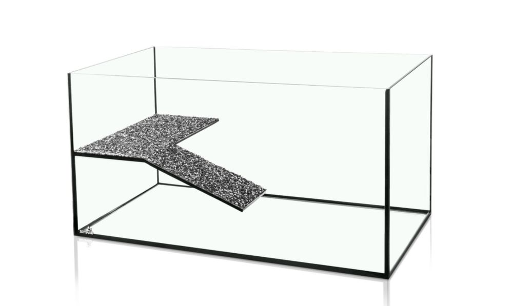 Akwaterrarium - gady