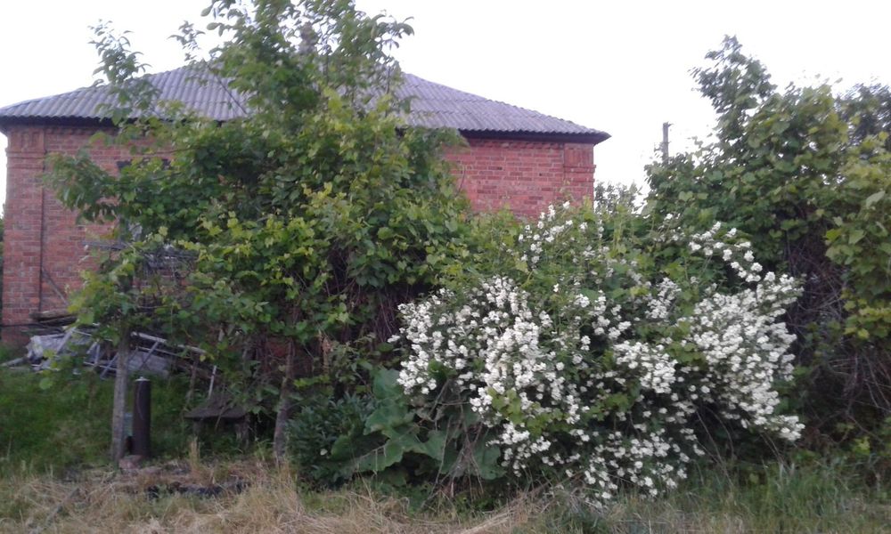 Продам приватизированный участок с ПОСТРОЙКОЙ 4500$