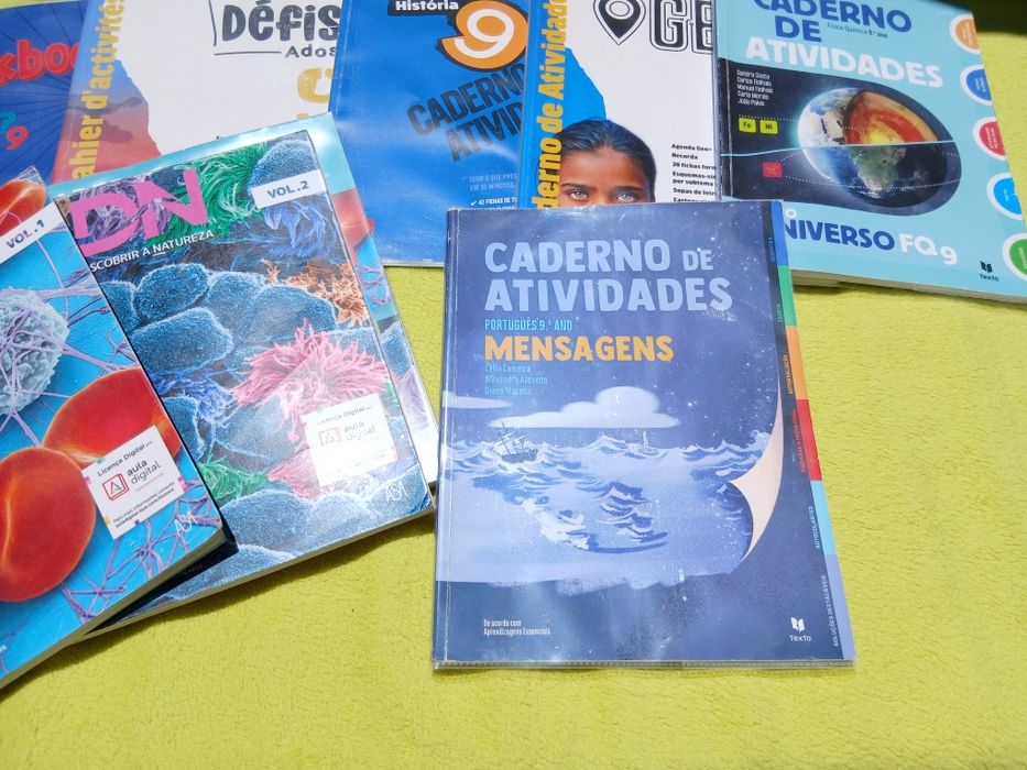 Cadernos de fichas 9.ano Português/FQ/Geo/Hist/Fran/Inglês