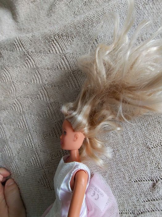 Ельза Hasbro, Барбі, Кен