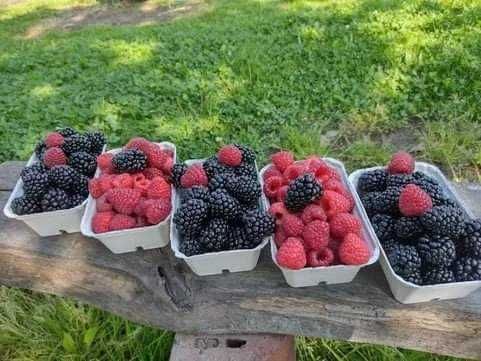 Domowe soki z jeżyn i malin