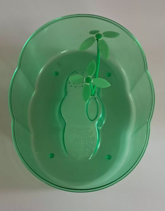 Tartarugueira verde