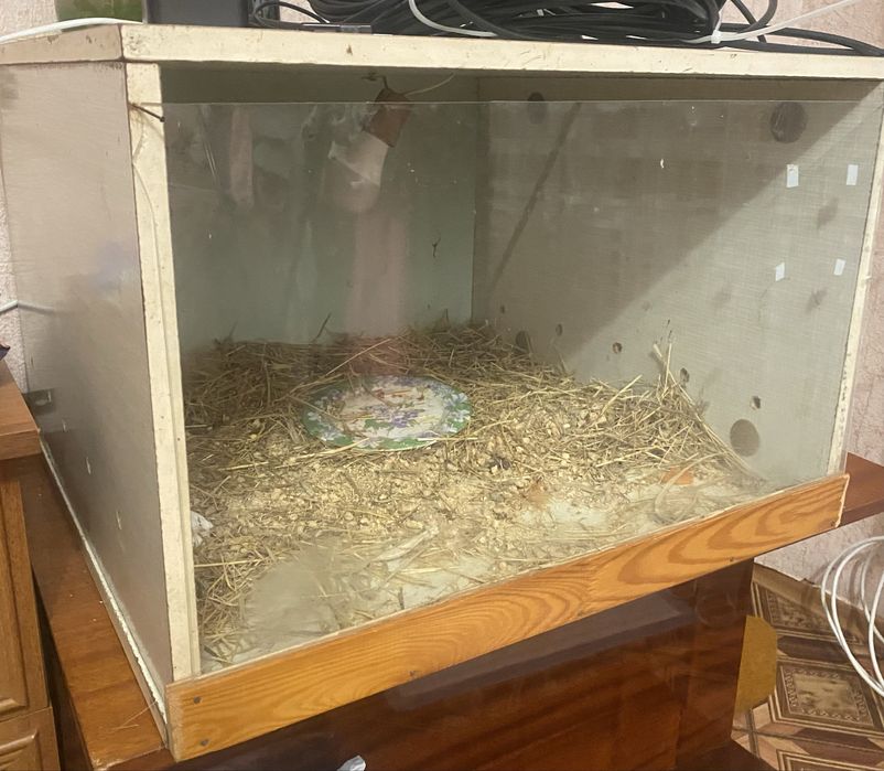 Терариум с чеpenaxoй