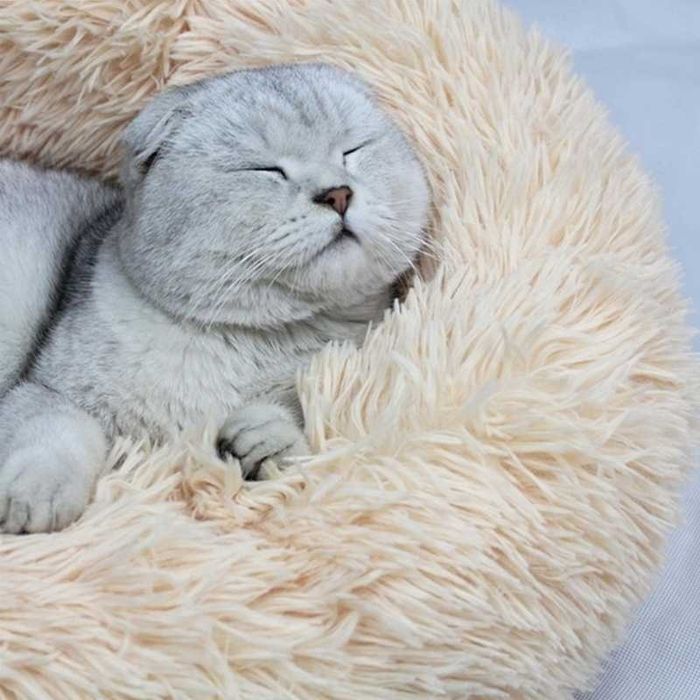 Cama para Gato Confort