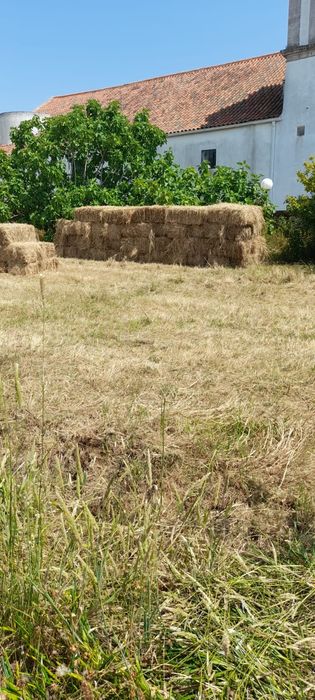 Fardos de panha 2025