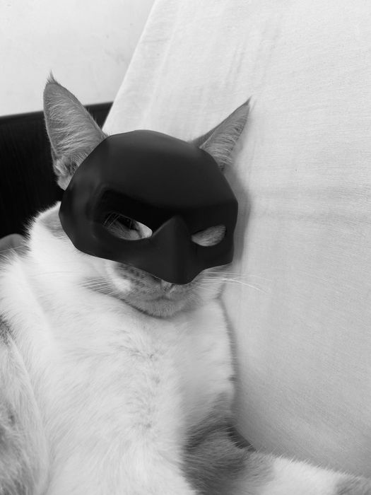 Маска бетмена для кота