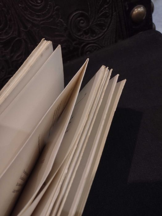 Os Simples "Poesias Líricas" Guerra Junqueiro