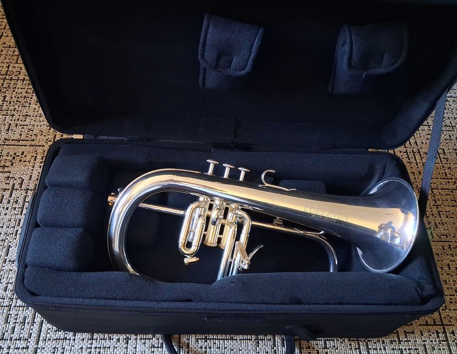 Estojo trompete duplo Protec iPac 301D