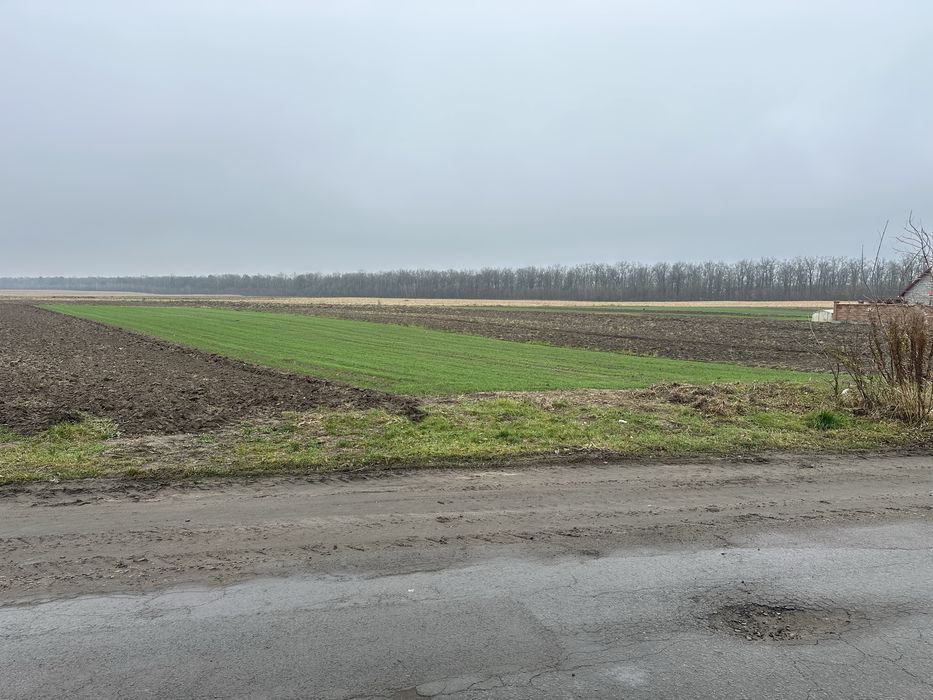 Продам земляну ділянку під забудову