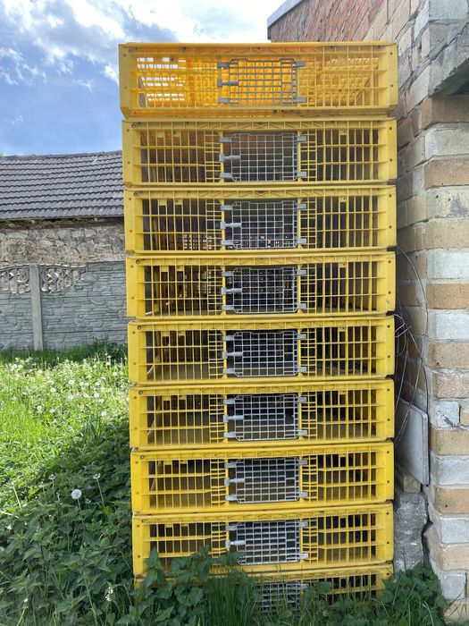 Transportery Klatki na króliki, kury inne