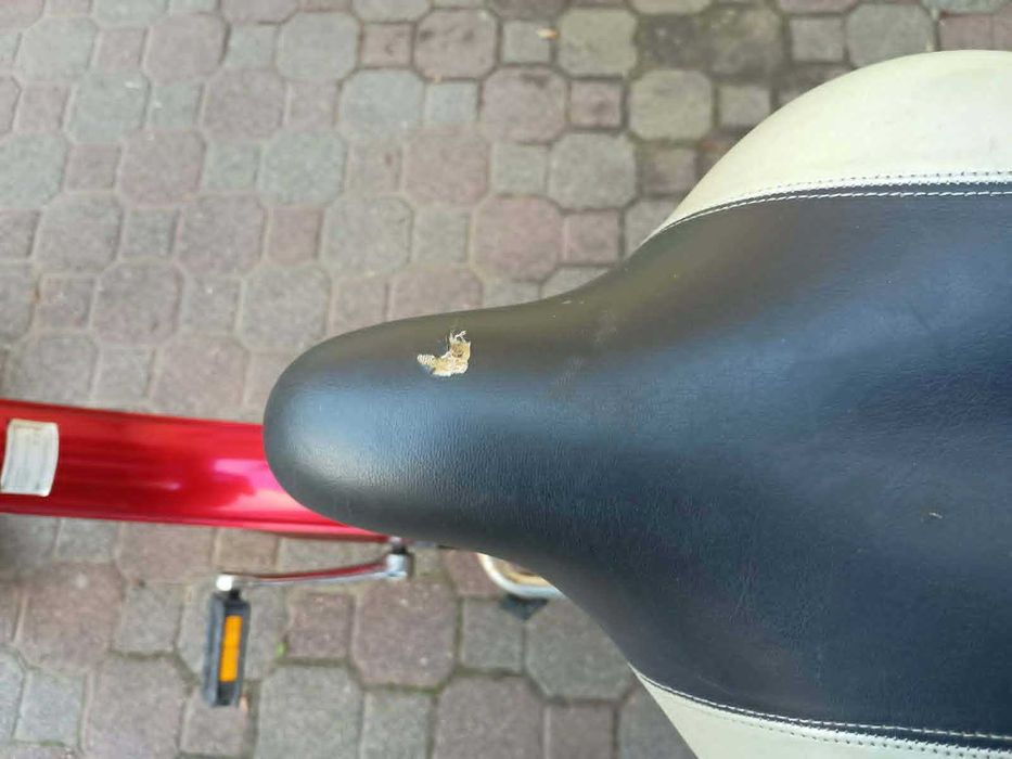 Rower elektryczny damski