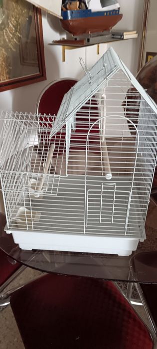 Casinha gaiola de pássaro