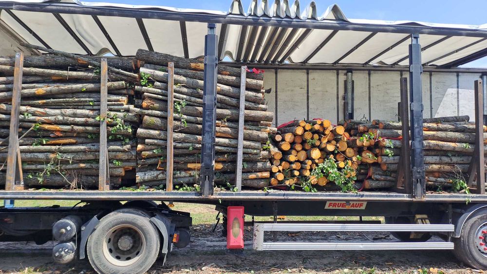 Дрова для опалення