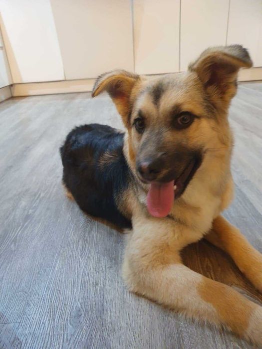 Jak dorosne,bedę damą.