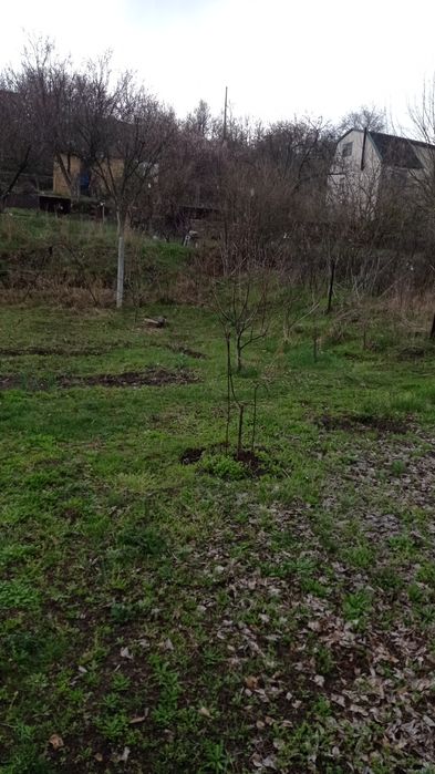 Продам свой  дачный участок 6 сот, в сторону с Любимовка