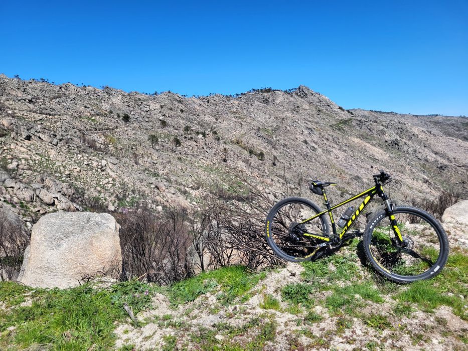 Bicicleta Scott Scale 980