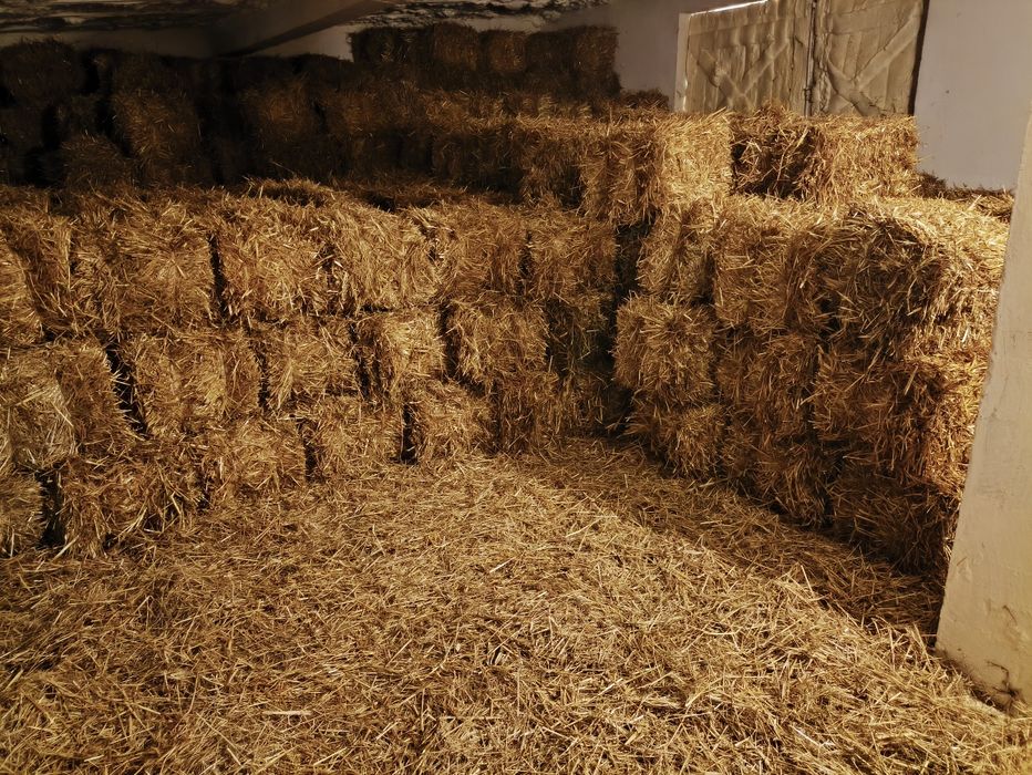 Słoma owsiana kostka  - możliwość transportu.