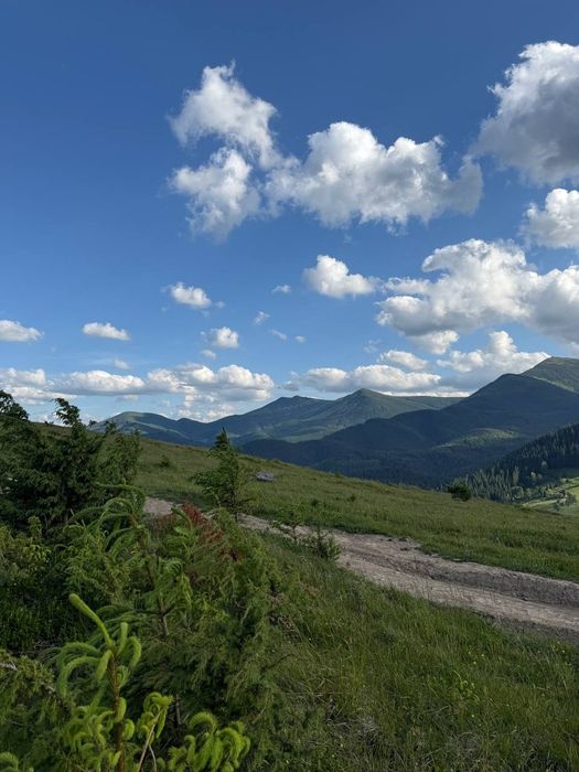 Рівна ділянка, під будову. Межує з лісом. 40 соток в Дземброні
