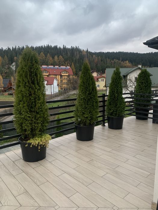 Східниця Кімнати-студія з власною кухнею