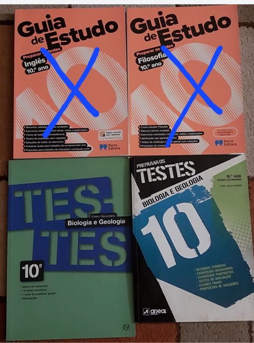 Livros de apoio escolar 10 ano/11 ano