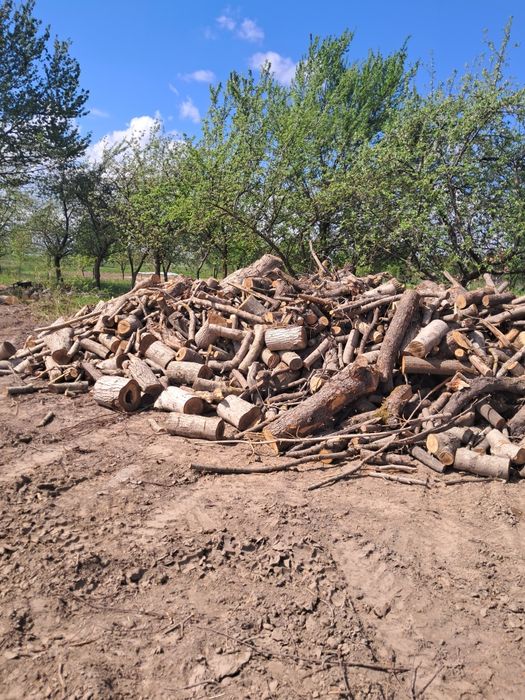 Продам дрова ,фруктові.