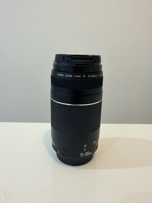 Canon EF 75-300mm f/4-5.6 III – Excelente estado