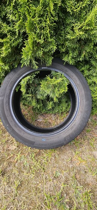Michelin CrossClimate 2 205/55r17