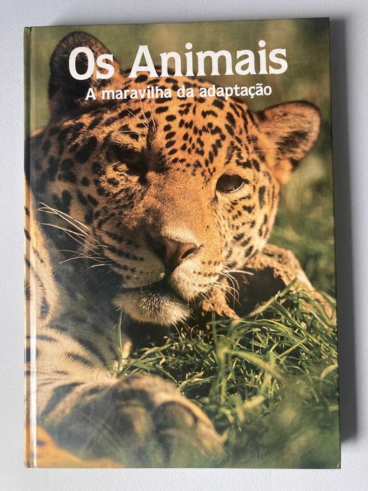 Os Animais: a maravilha da adaptação