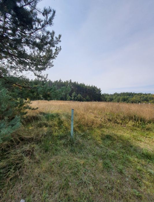 Продається мальовничий участок біля лісу, Кочерів,