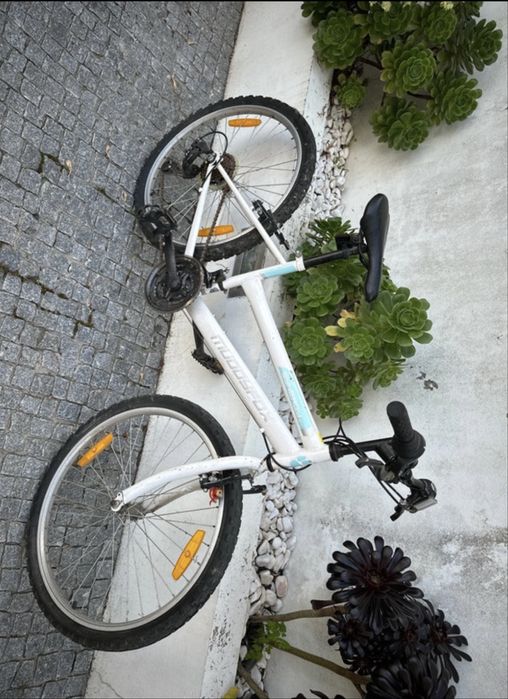 Bicicleta Synergy 24