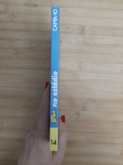 Livro " Uma aventura no estádio " Ana M Magalhães e Isabel Alçada