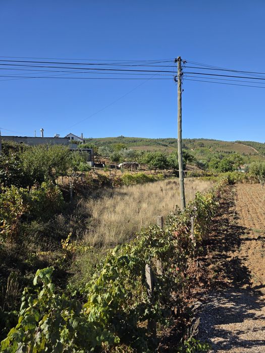 Terreno rústico Estreito vilar-barroco