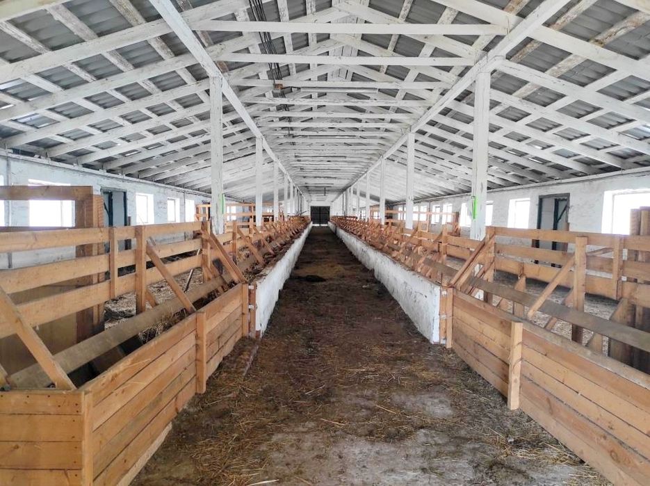 Продаж ферми. Траса Київ Рівне. Житомир. Можна під виробництво.