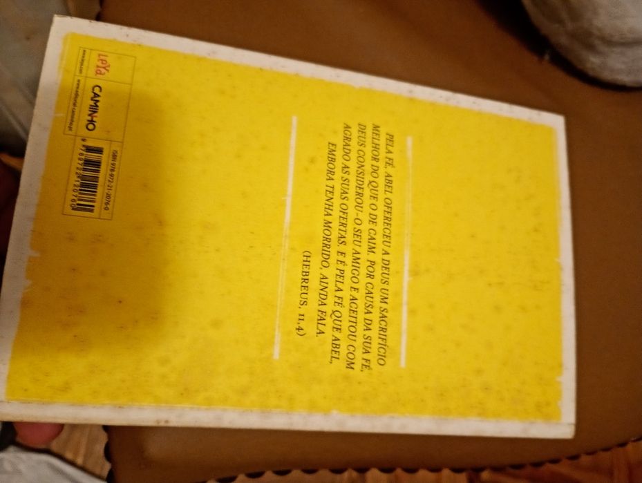 Caim - Saramago - Caminho - 2 edição - 12E - Bola de Papel de  Prata Antiga parecida com a que minha avó  fazia -10E - Bolinha laranja 2E Desde 2E