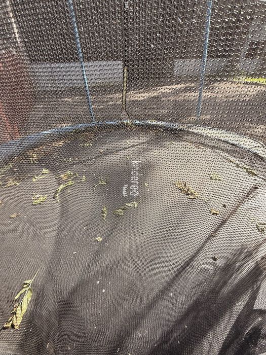 Trampolina ogrodowa