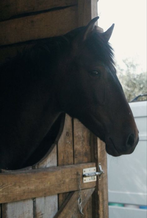 Vendo ou troco por roulote