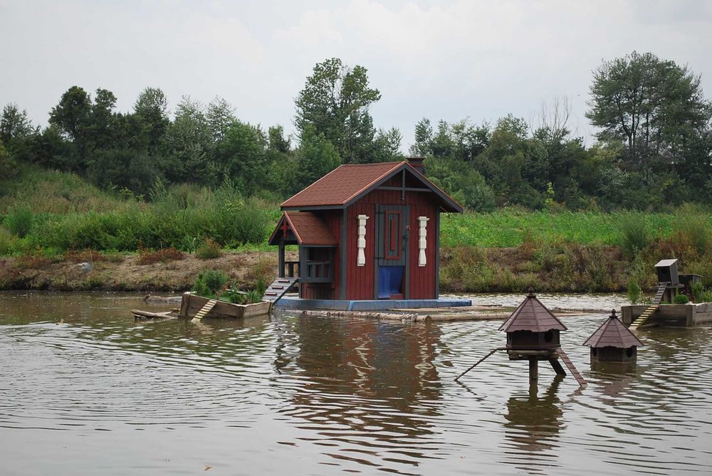 Domek dla łabędzi! domek, budka dla kaczek!