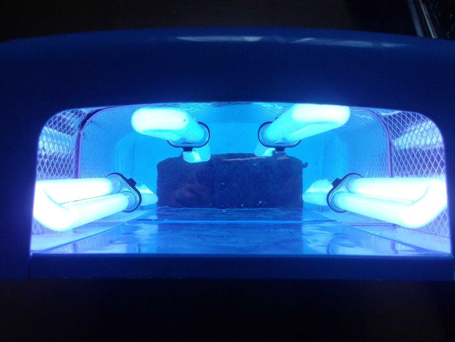 стерилизатор    .