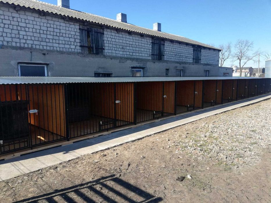 Kojec szeregowy dla psów klatka boks kojce dla psa hodowla schronisko