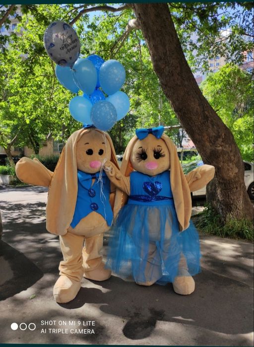 Аренда костюмов,Аниматоры,Ростовые куклы,Фотозоны,Пиньята