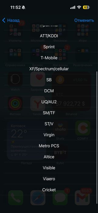 Чип 2025 года, GOLD v1.9 разблокировка iPhone рсим для айфона