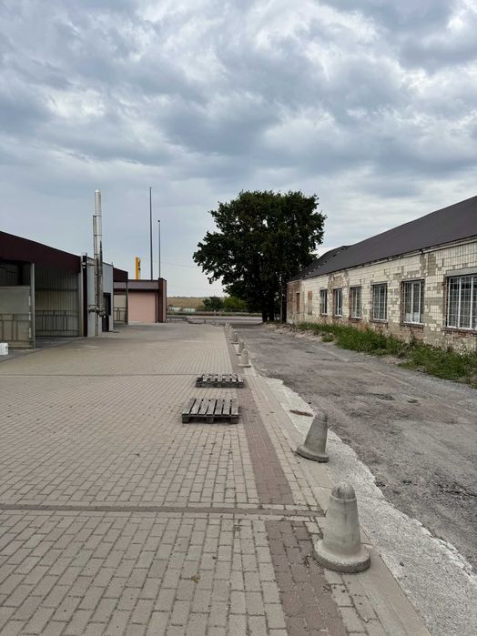 Продаж земельної ділянки 10 соток у Гощі, електрика 15 кВт