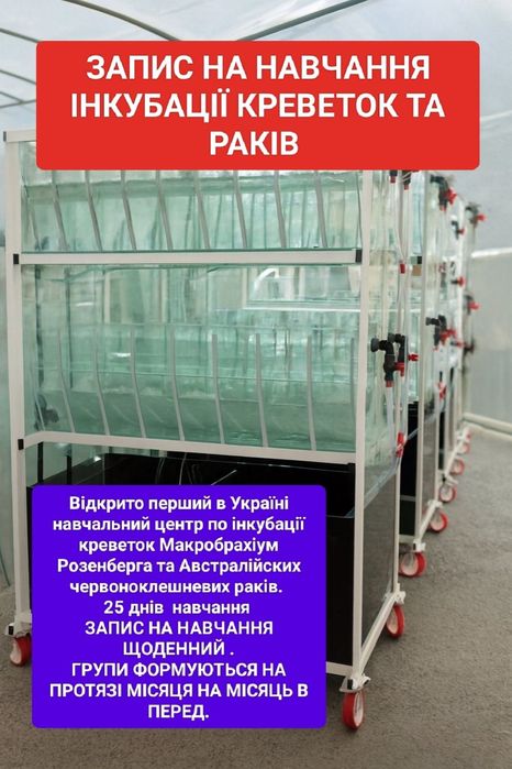 Запис на навчання інкубації креветок Макробрахіум Розенберга та АККР
