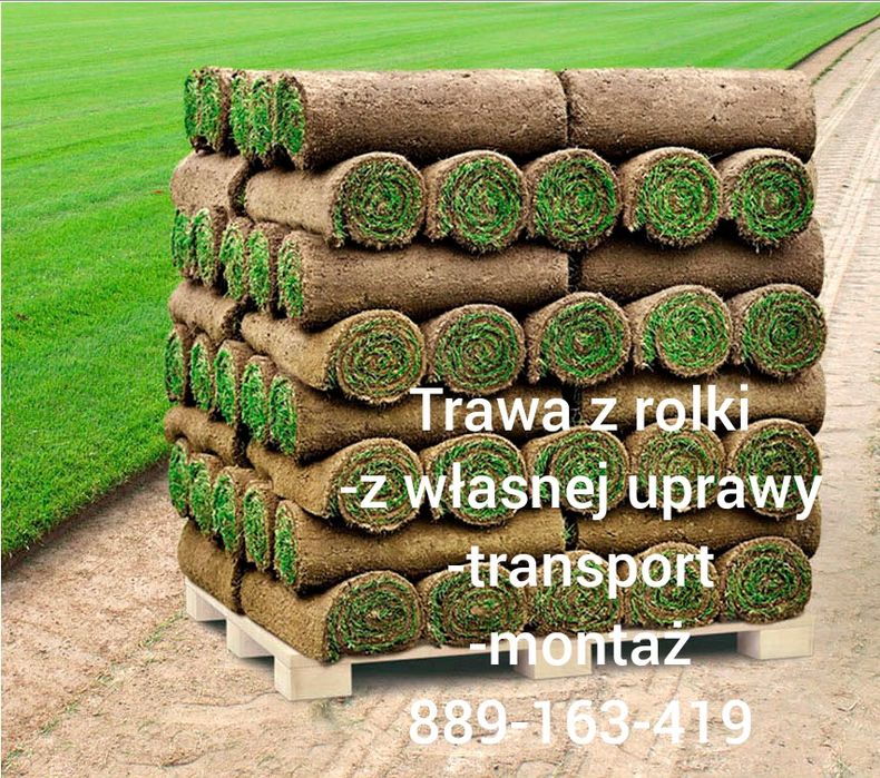 Trawa Z Rolki możliwość transportu i montażu