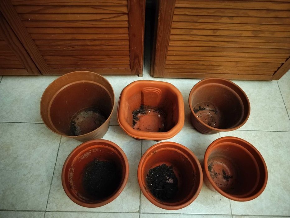 Vasos de vários tamanhos