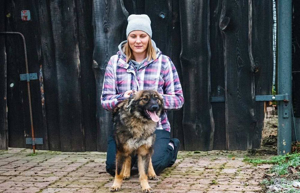 GONG - piękny, wesoły pies czeka na dom