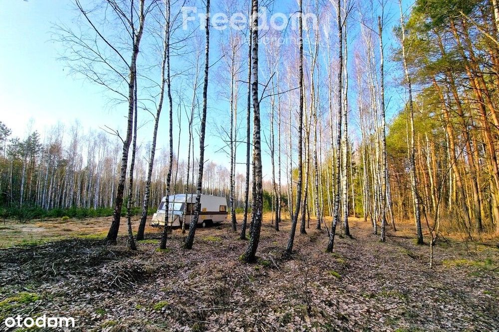 Działka budowlana z pozwoleniem na budowę- Kodeń - Widok 3