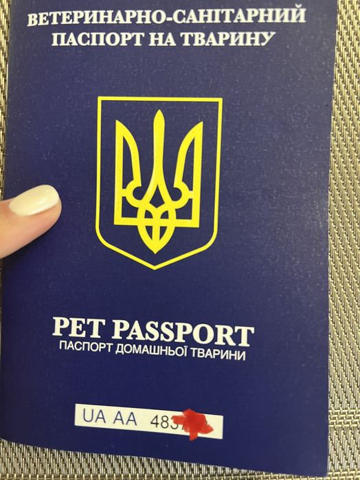 Ветеринарные документы для выезда вашего питомца заграницу